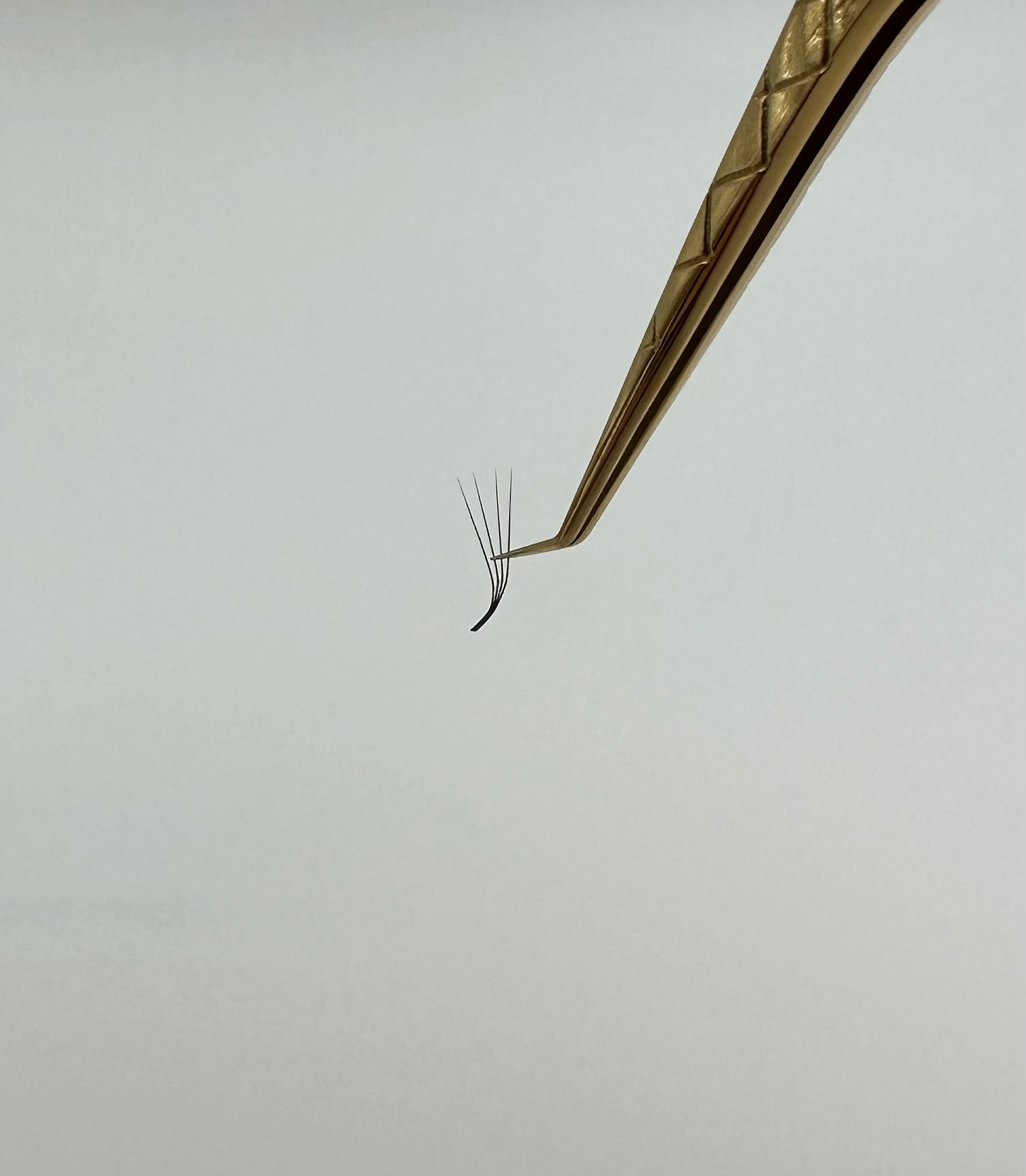 5D L CURL 0,07